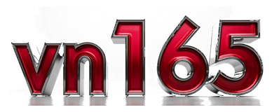 vn165 logo